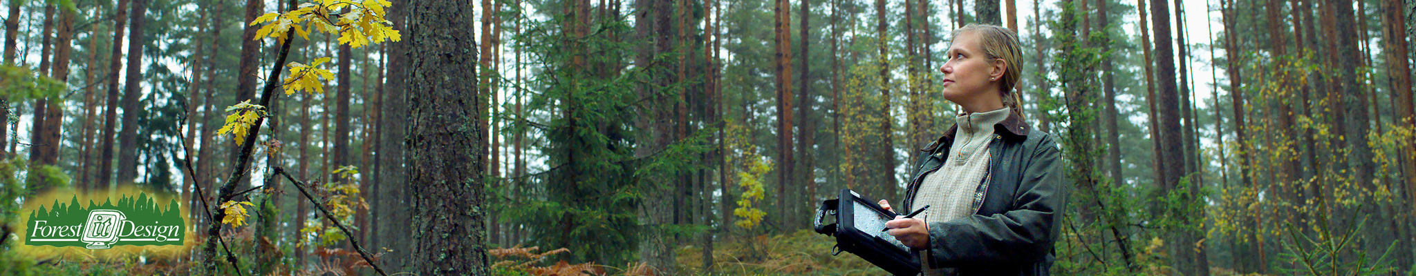 Out in the woods with a tablet